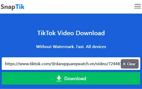 Giao diện trang web Snaptik đơn giản và dễ sử dụng